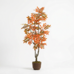 شجرة أوتمان