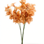 ورد نسيم الصباح صناعى