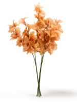 ورد نسيم الصباح صناعى