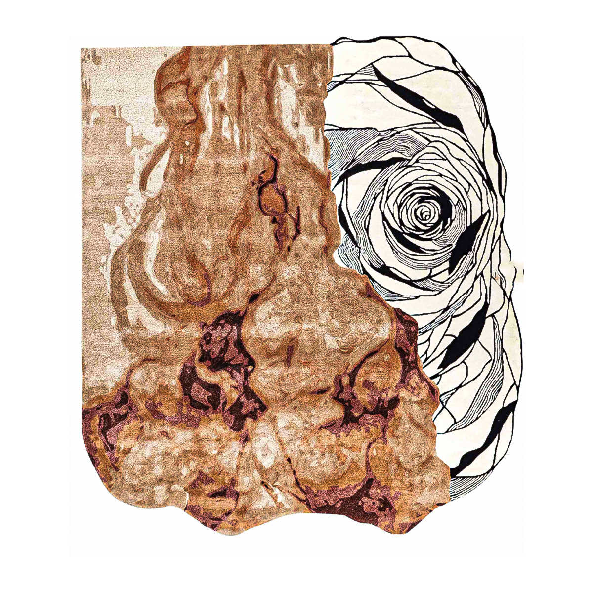 23 تافتي لاند - الصورة 1