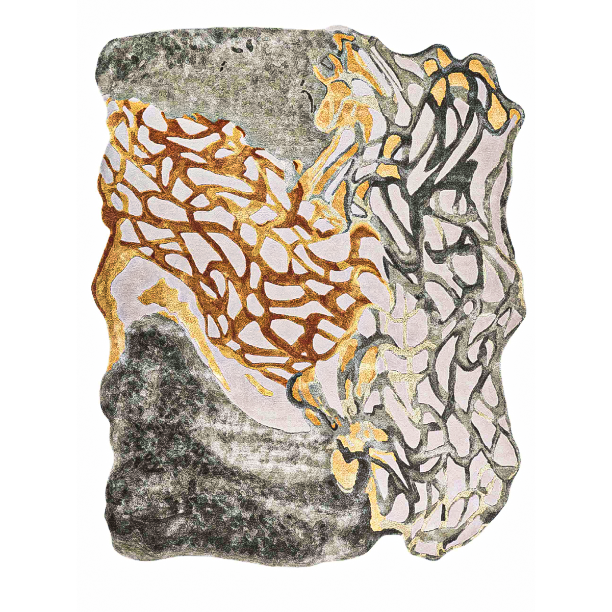 26 تافتي لاند - الصورة 1