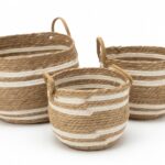 باسكت دائري