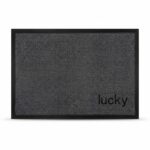 دواسه باب شقه