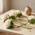 ⁦فرع اورتتسيا⁩ - الصورة ⁦3⁩