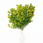فرع خضار صبار
